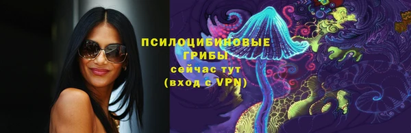 крисы Армянск