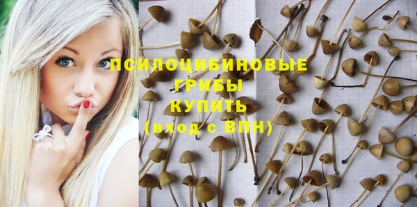 синтетический гашиш Арсеньев
