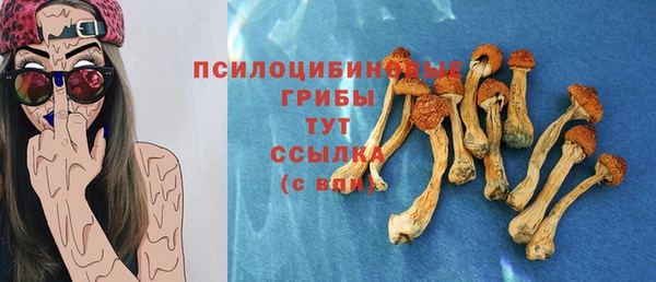 твердый Алексин