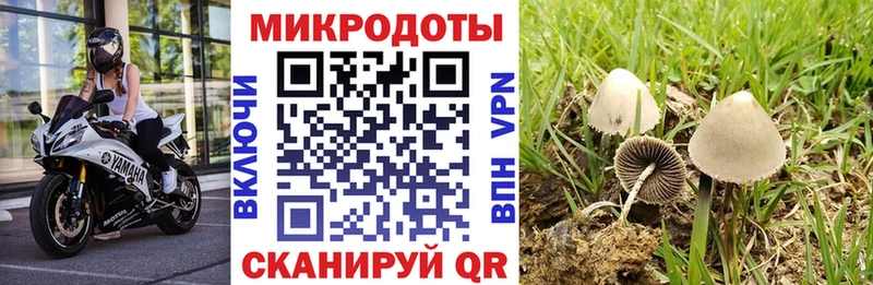 Галлюциногенные грибы мицелий  как найти   ссылка на мегу   Новохопёрск 