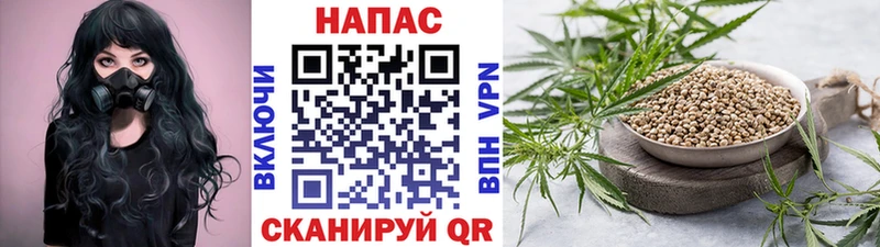 Конопля ГИДРОПОН  хочу наркоту  Новохопёрск 